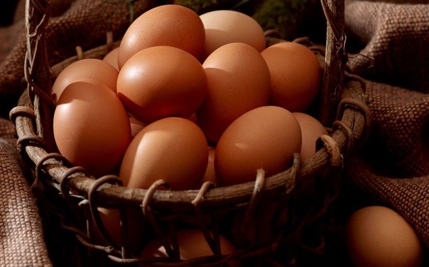 سعر كرتونة البيض اليوم الجمعة في بورصة الدواجن، فيتو