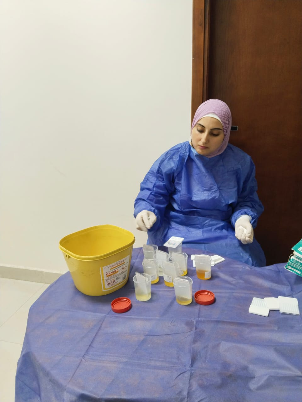 جانب من الحملة،فيتو