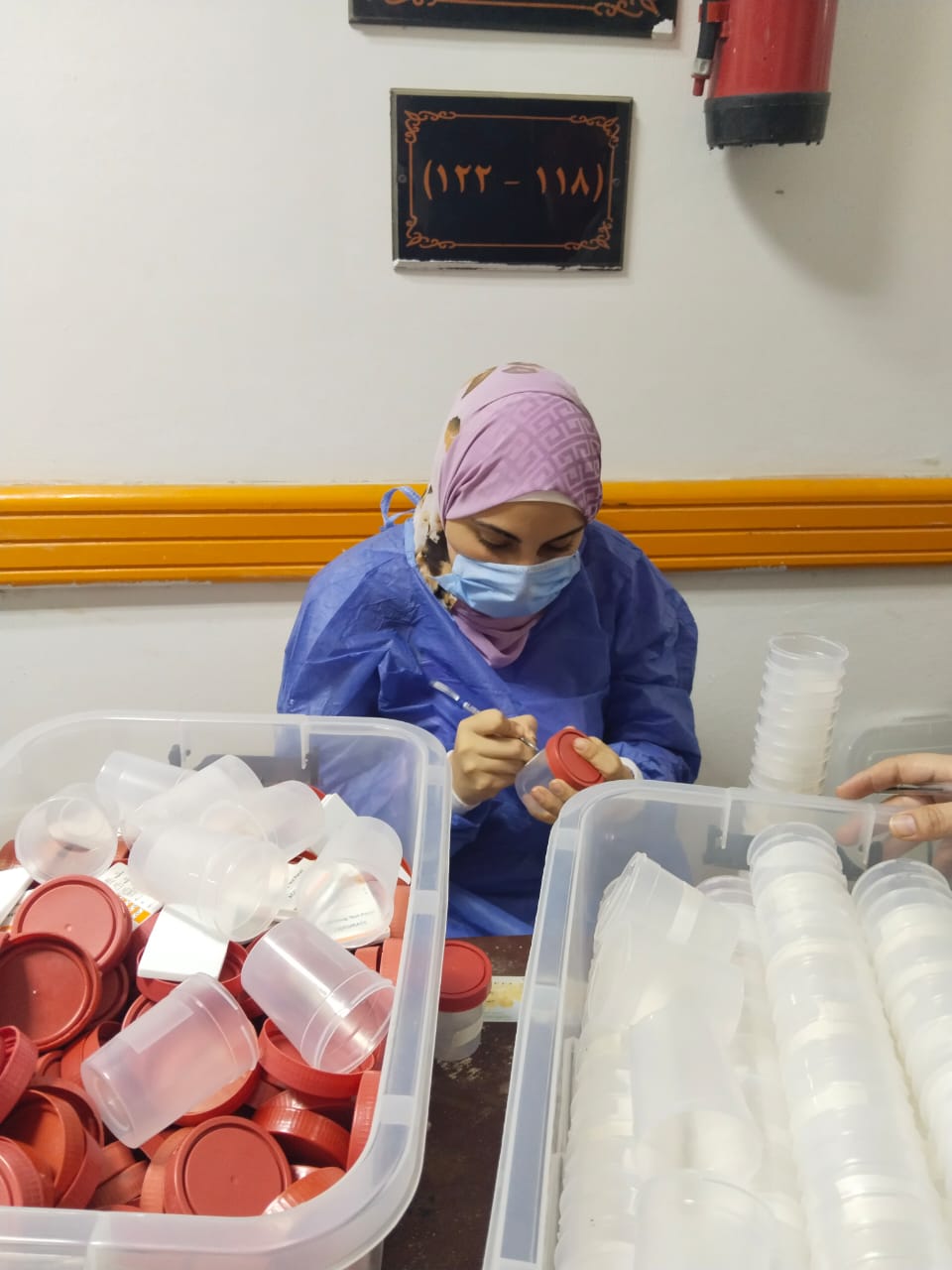 جانب من الحملة،فيتو