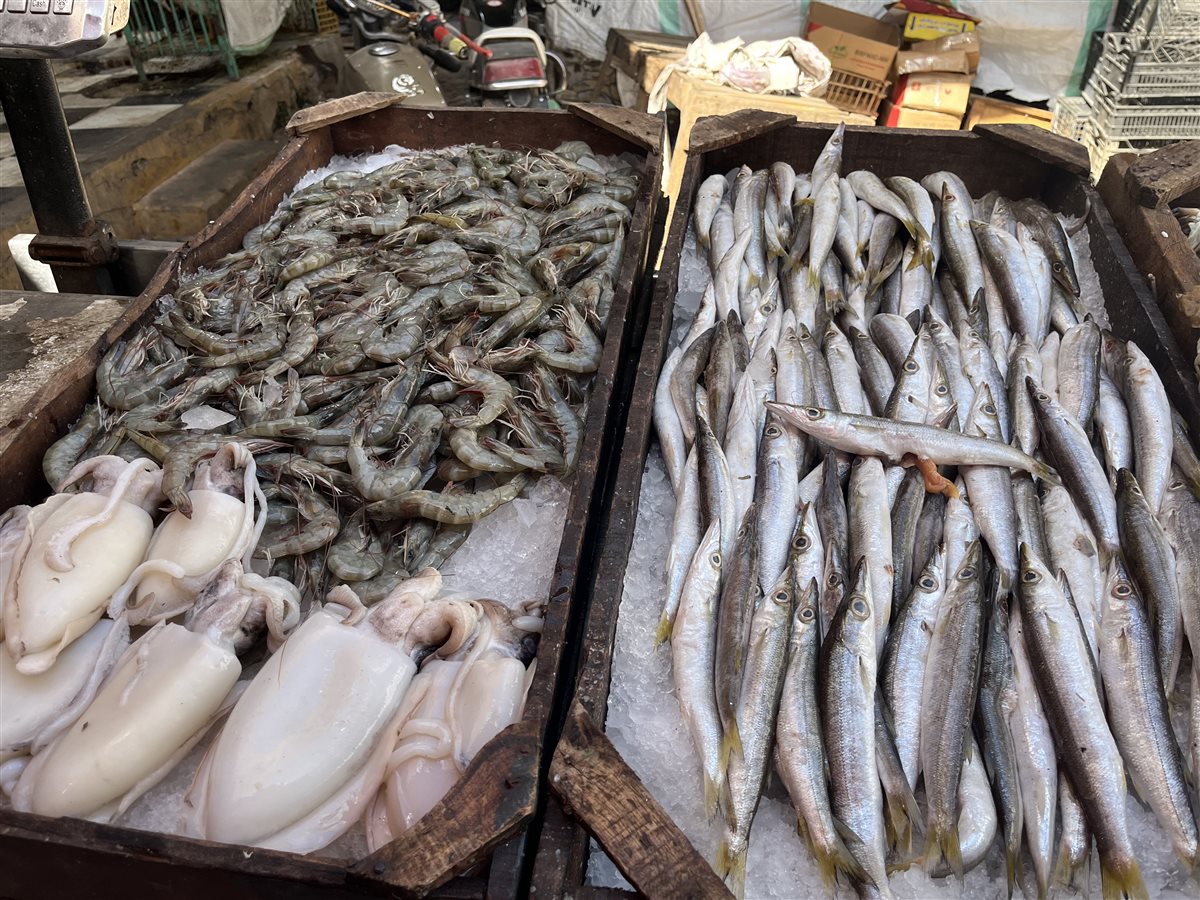 اسعار الأسماك اليوم بالبحيرة، فيتو&nbsp;