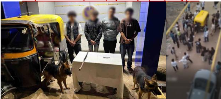 مشاجرة بالأسلحة البيضاء بسبب كلابين بالغربية<br alt=