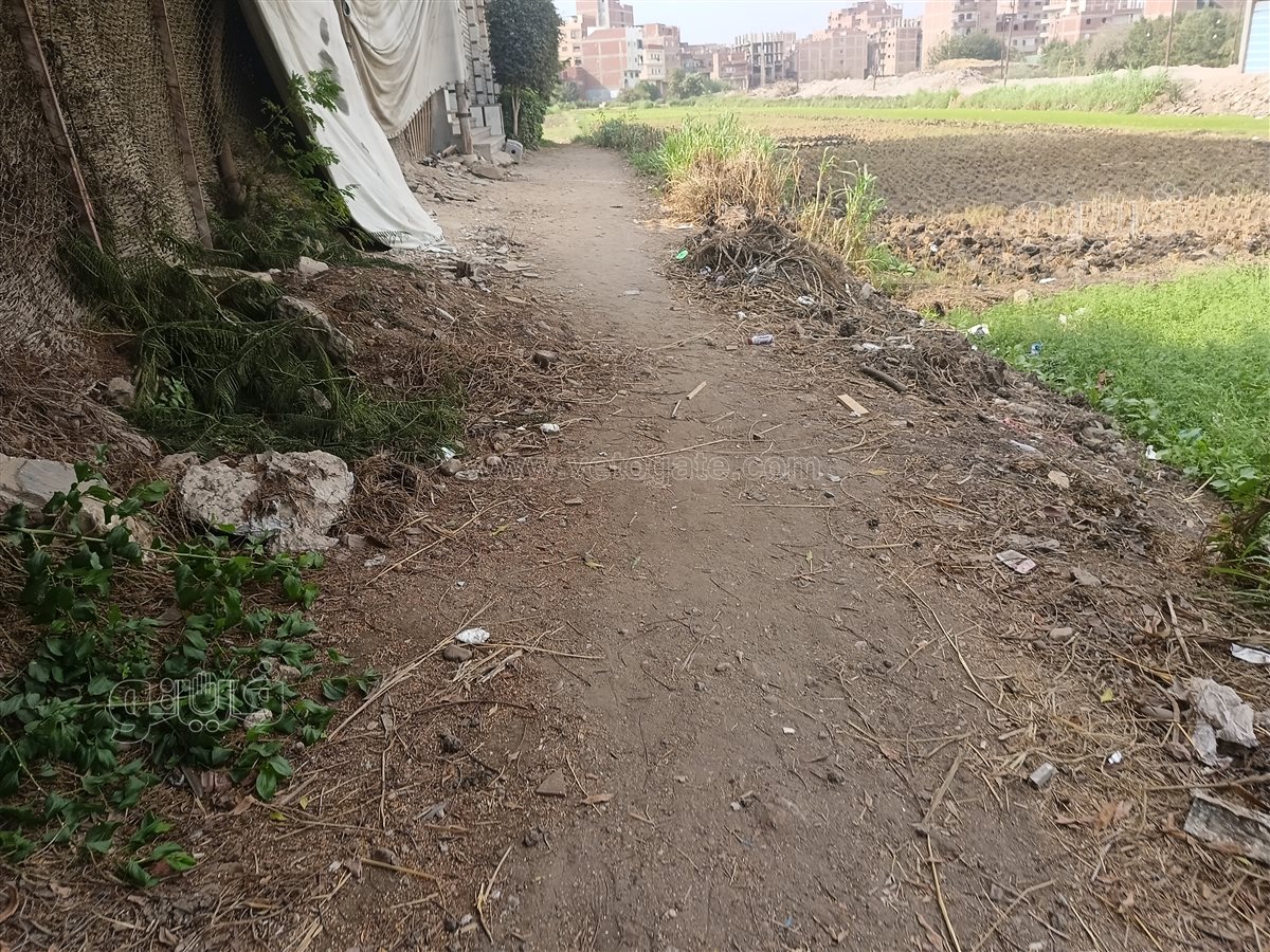 المكان الذي كان يقيم فيه الأطفال الثلاثة،فيتو