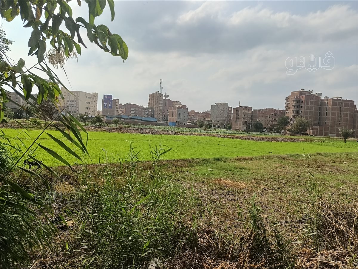 المكان الذي كان يقيم فيه الأطفال الثلاثة،فيتو