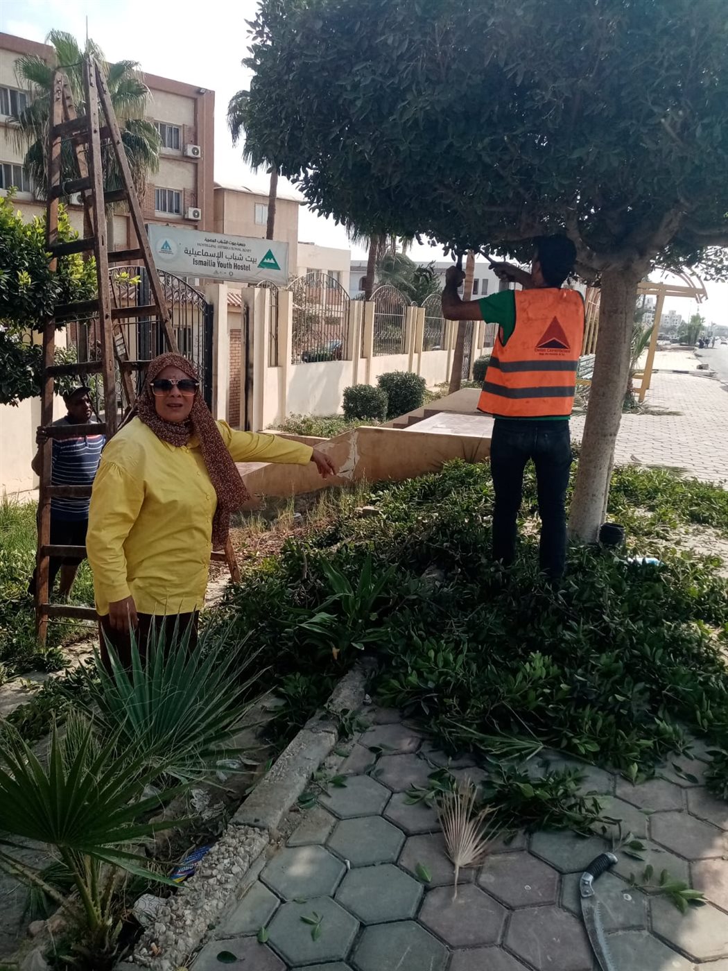 جانب من الأعمال، فيتو