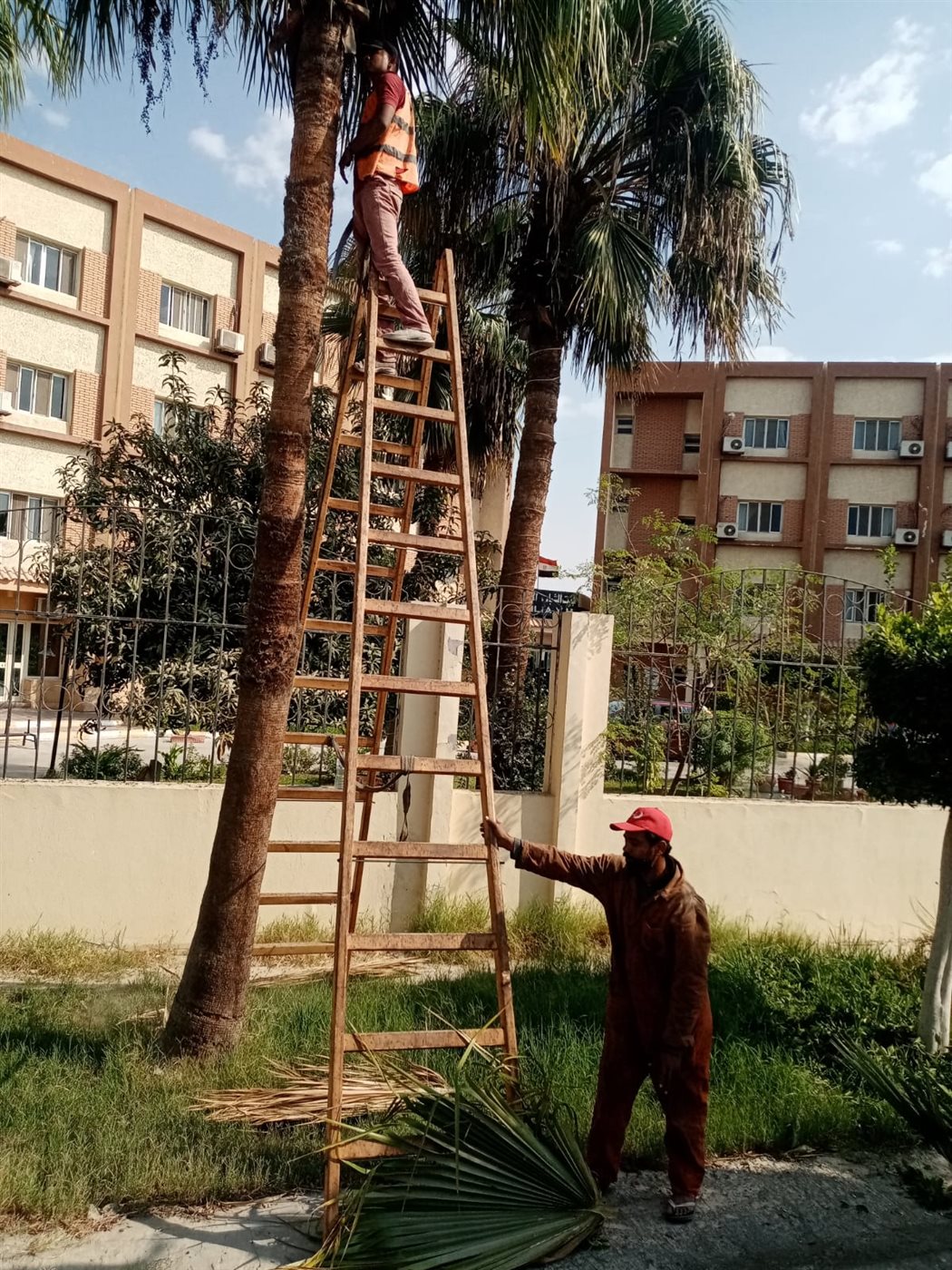 جانب من الأعمال، فيتو