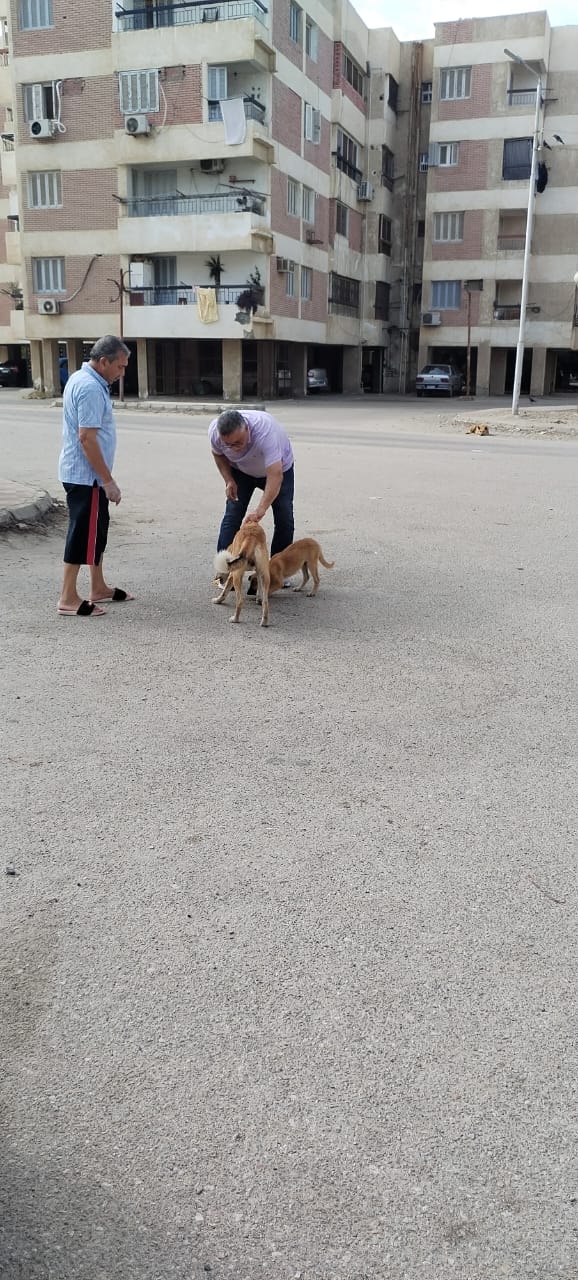 جانب من حملة التحصين،فيتو&nbsp;