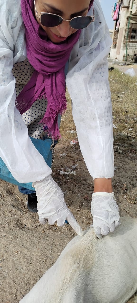 جانب من حملة التحصين،فيتو&nbsp;