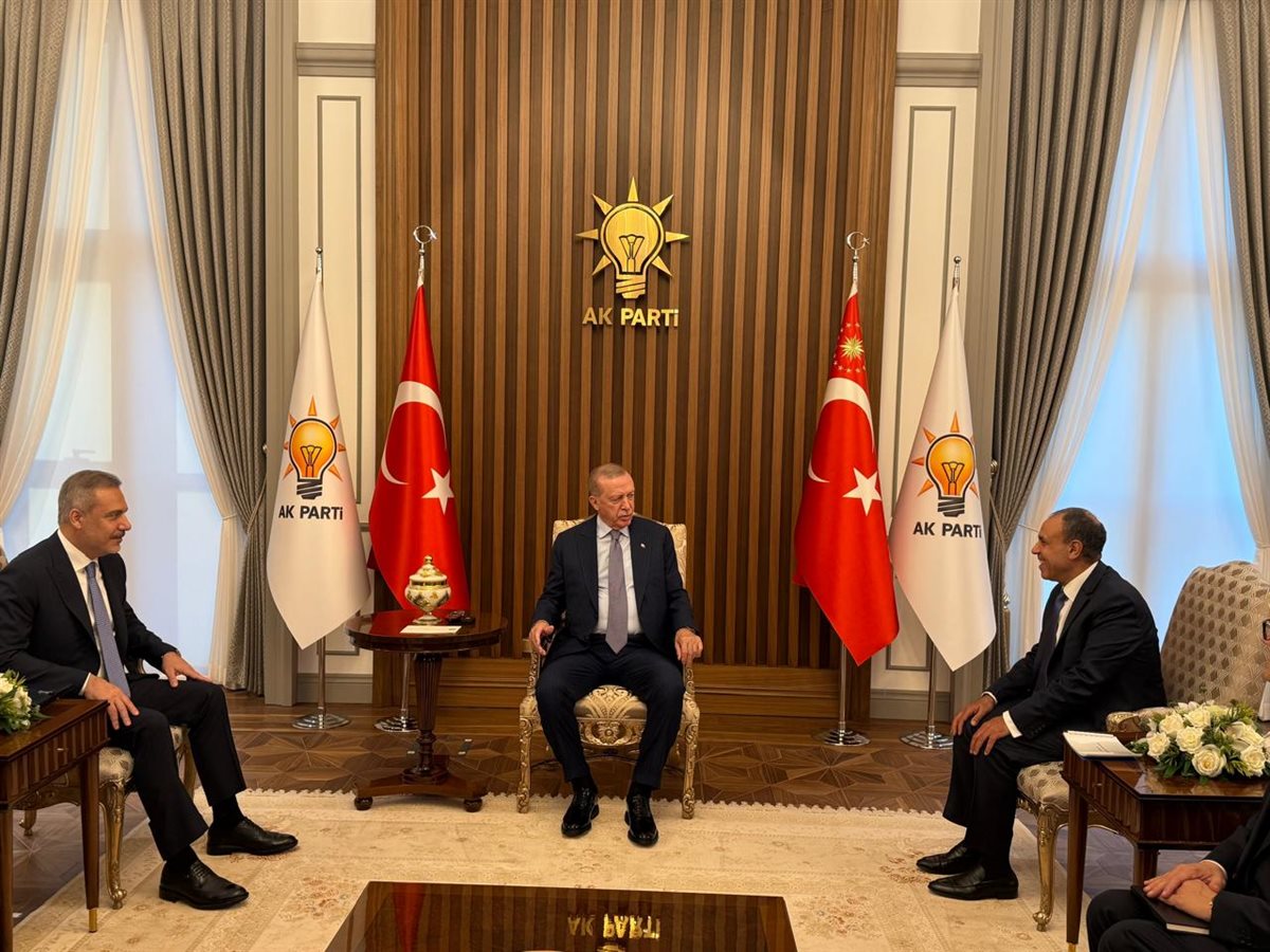 أردوغان يستقبل بدر عبدالعاطي، فيتو