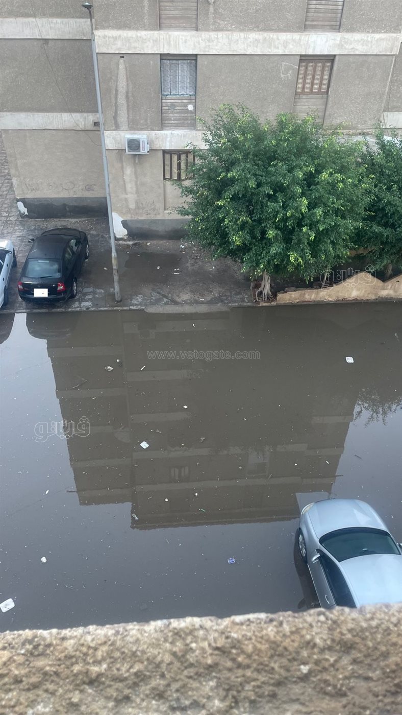 تراكم الأمطار بشوارع الضواحي ببورسعيد، فيتو