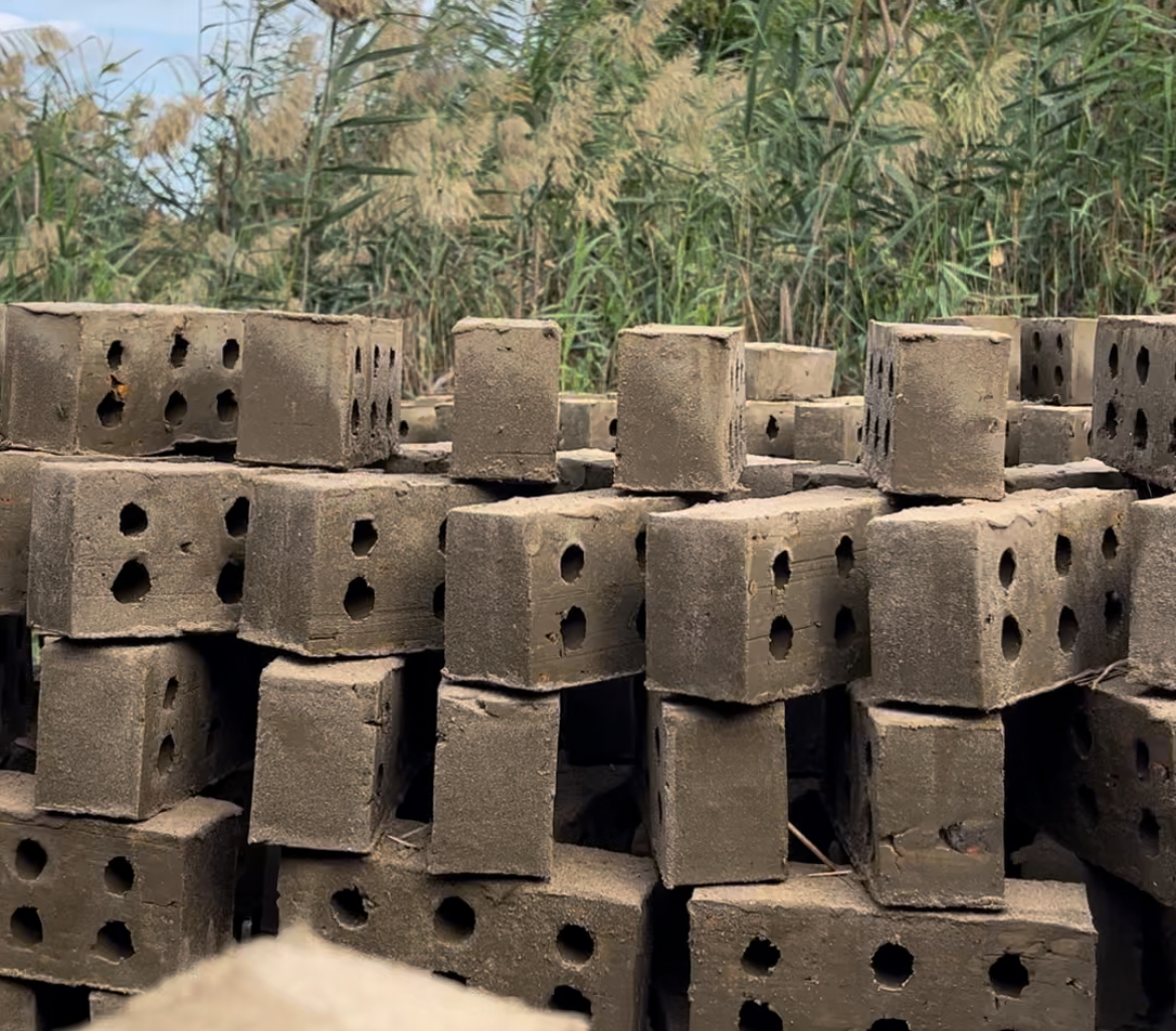 ورش تصنيع الطوب الأحمر بالبحيرة، فيتو