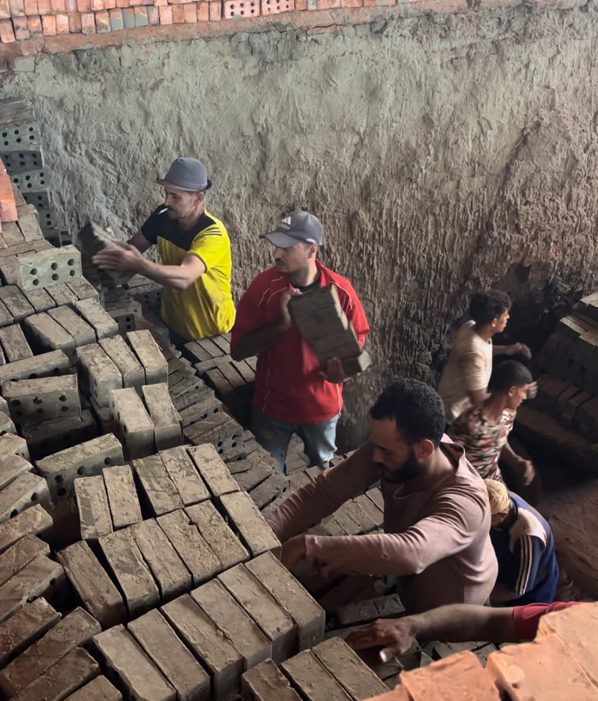 ورش تصنيع الطوب الأحمر بالبحيرة، فيتو