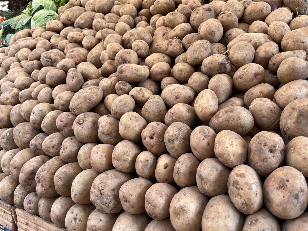 اسعار الخضروات بالبحيرة، فيتو