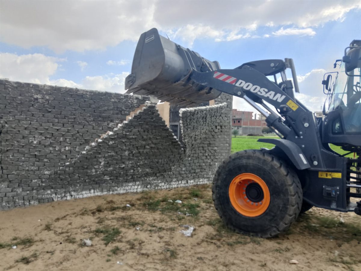 جانب من الحملة، فيتو