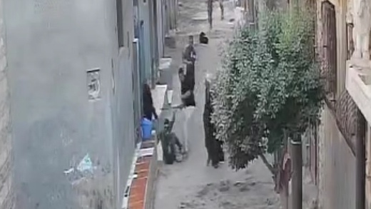 عقب انتشار الفيديو بساعات، القبض على شقيقين اعتديا على شاب بالشوم في سمالوط بالمنيا