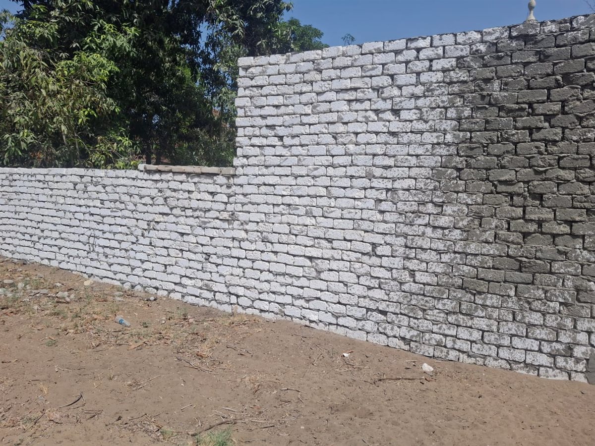 جانب من أعمال الإزالة، فيتو