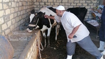 الحمى القلاعية&nbsp;