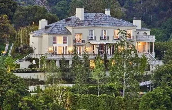 أحد ممتلكات أيلون ماسك، فيتو