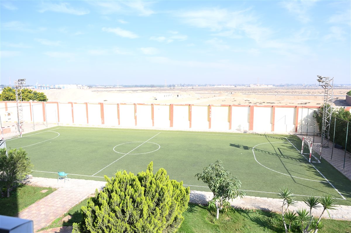 مركز الابتكار بالإسماعيلية، فيتو