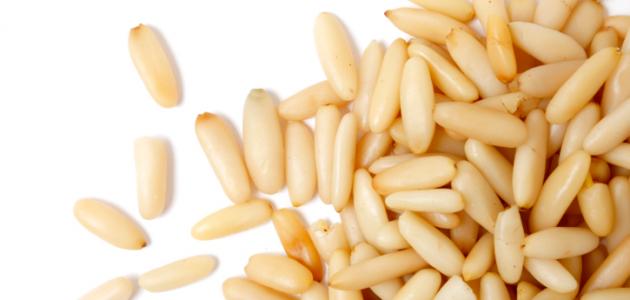 فوائد الصنوبر 