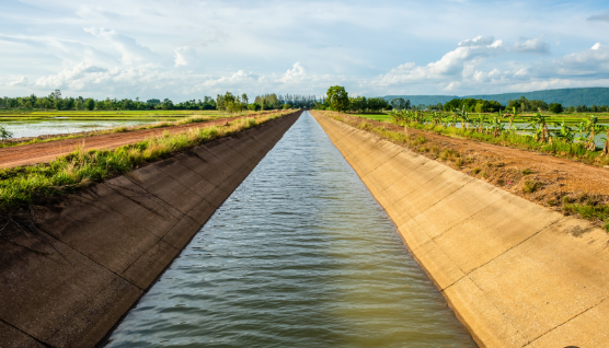 تبطين الترع، فيتو