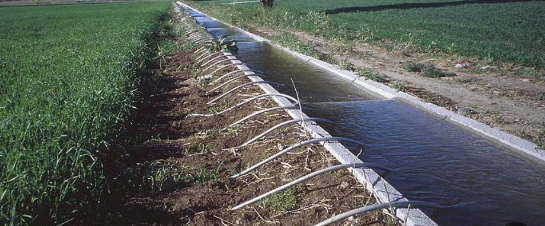 مشكلات الصرف الزراعي، فيتو