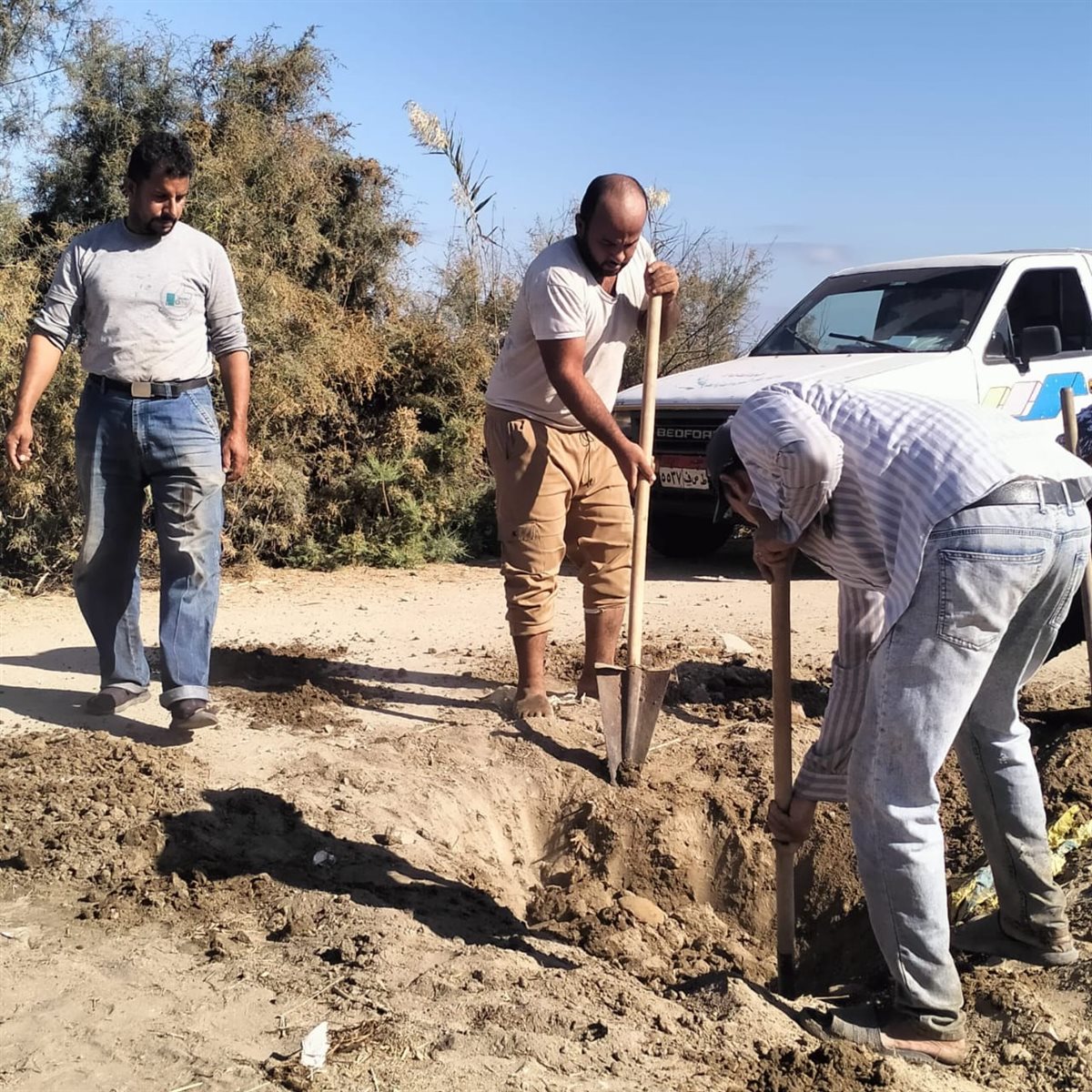 جانب من أعمال التطهير،فيتو