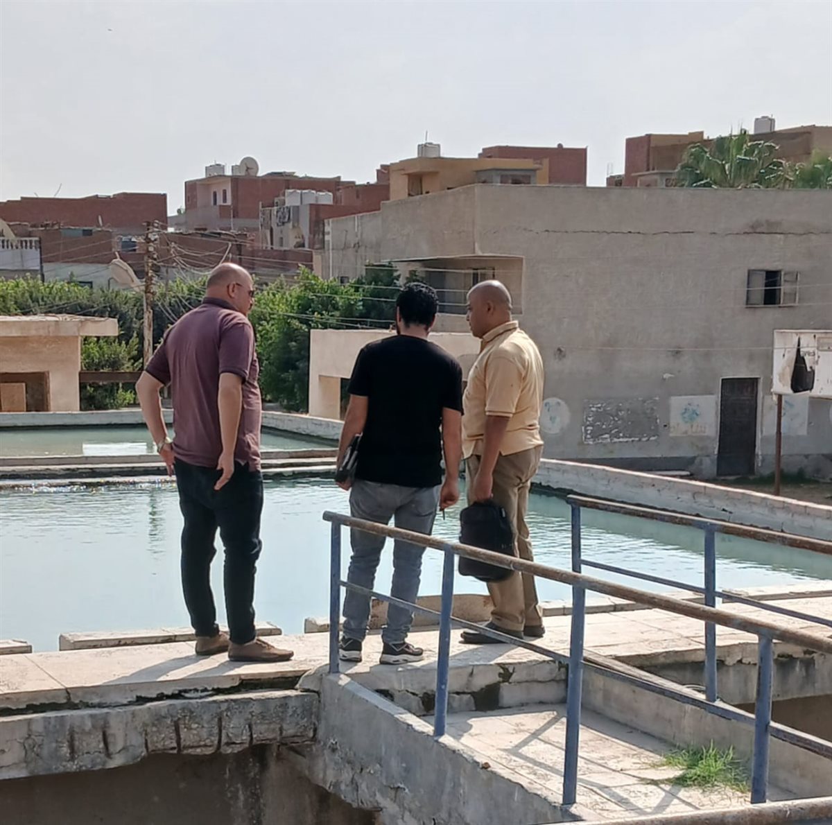 جانب من الحملة، فيتو