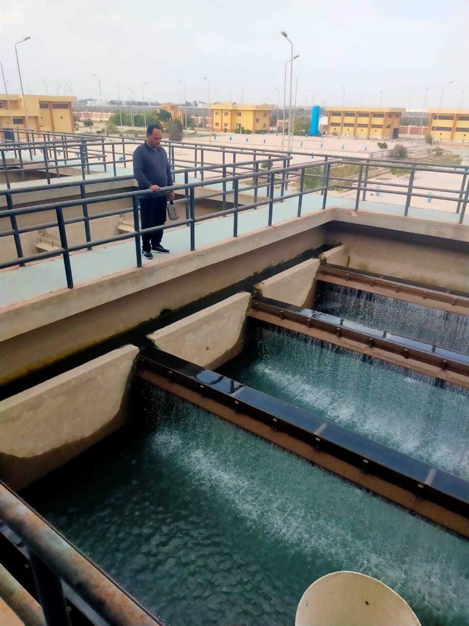 جانب من الحملة، فيتو