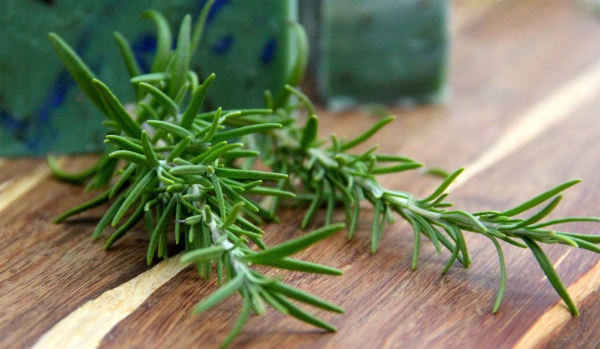 إكليل الجبل للطلاب