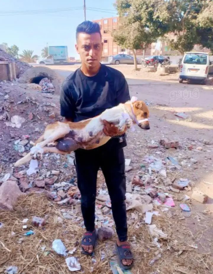 &nbsp;قتلوا قلبًا كان يحيي الحيوانات.. جريمة مروعة تطيح بحلم خطيب بنايوس،فيتو