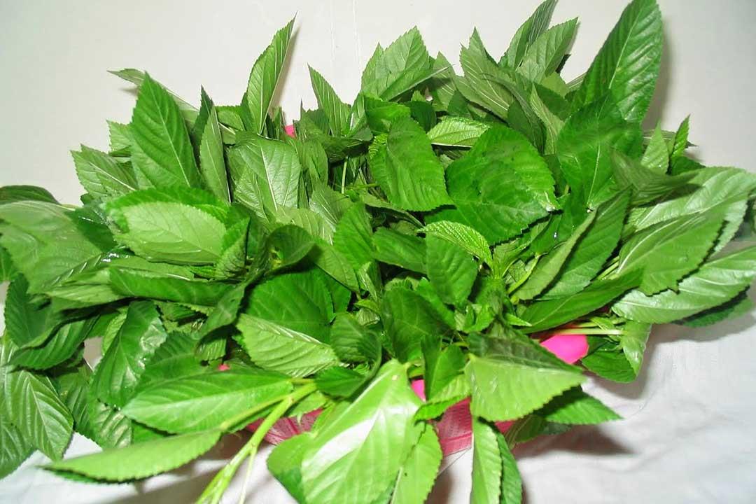 سعر الخضار اليوم، فيتو