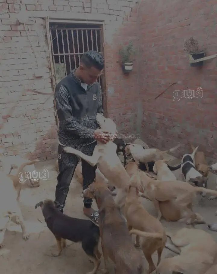 حزن الأهالي بعد مقتل صاحب ملجأ الرحمة على يد صديق العمر،فيتو