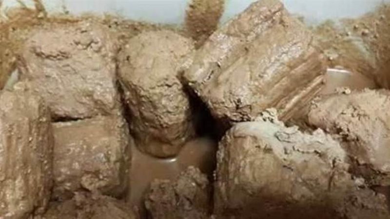 الجبن القديمة 