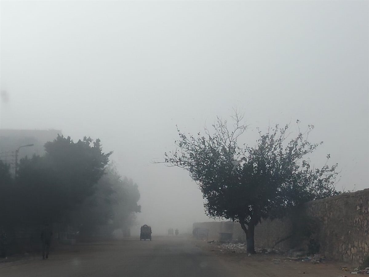 الشبورة المائية بالإسماعيلية، فيتو