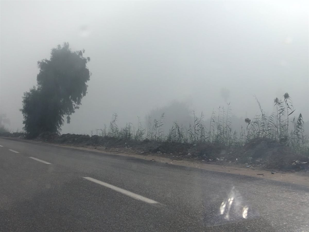 الشبورة المائية بالإسماعيلية، فيتو