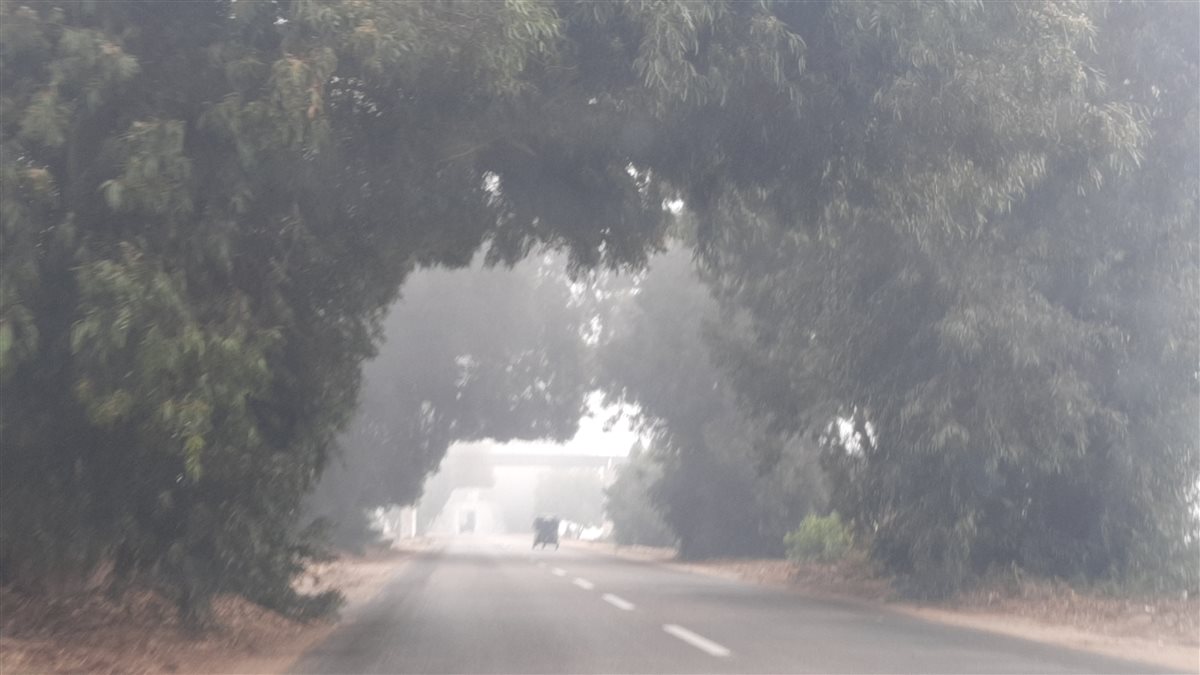 الشبورة المائية بالإسماعيلية، فيتو