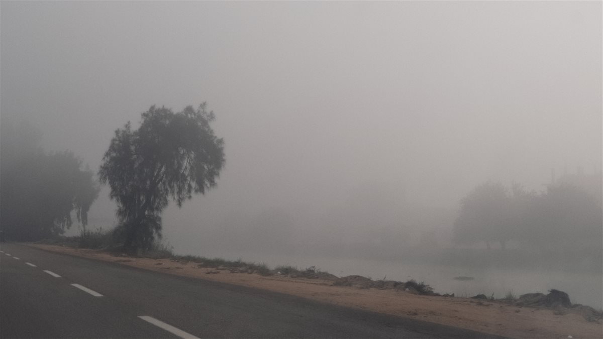 الشبورة المائية على طريق الإسماعيلية الزراعي، فيتو