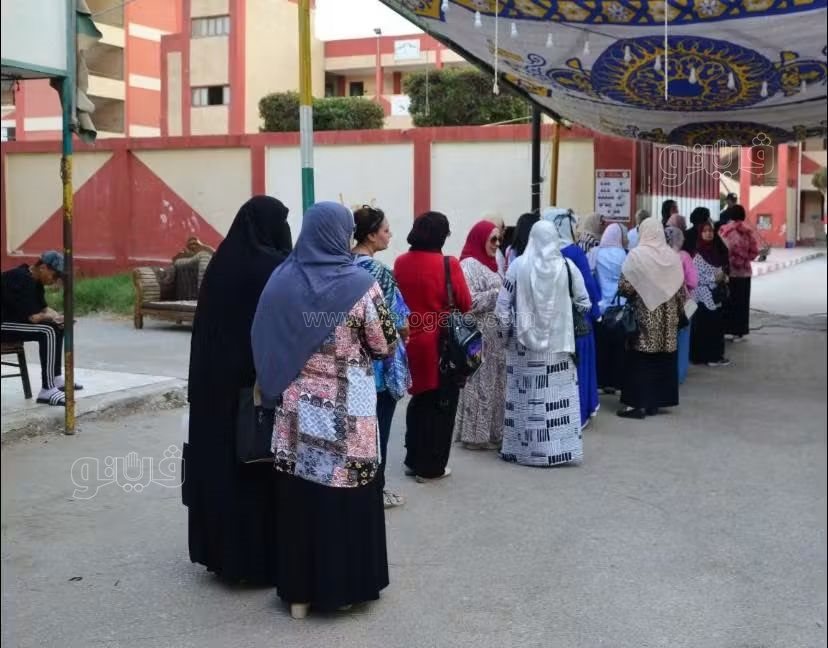 &nbsp;سيدات بورفؤاد في انتخابات النواب، فيتو