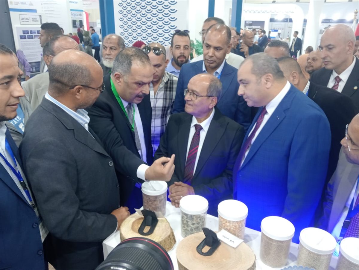 جانب من المشاركة في فاعليات المؤتمر، فيتو