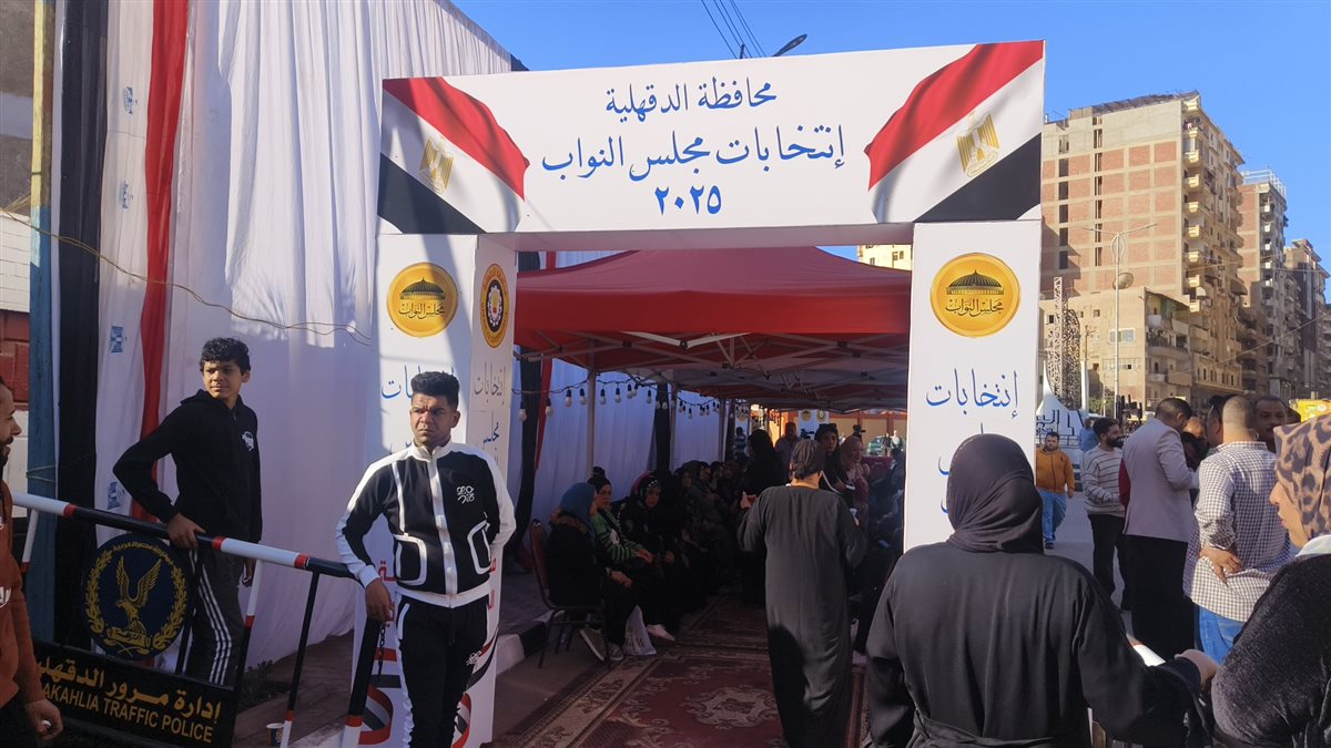 انتخابات النواب في الدقهلية