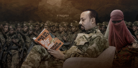 مخاوف آبي أحمد من انهيار إثيوبيا، فيتو