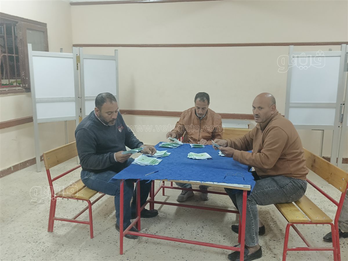 استمرار عمليات الحصر في اللجان الفرعية بالشرقية وبث مباشر يرصد لحظة بلحظة،فيتو