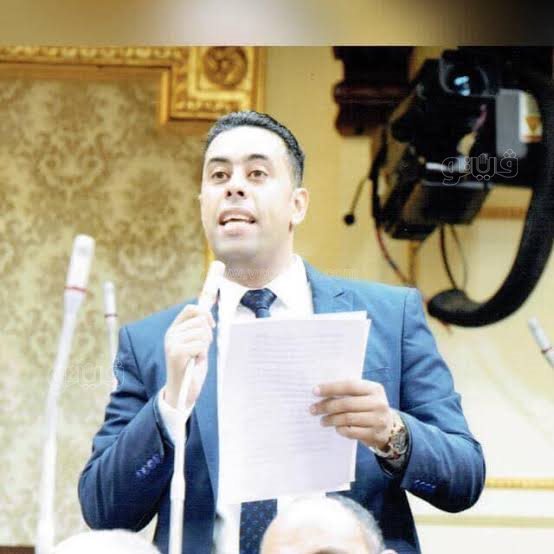 النائب أحمد فرغلي، فيتو