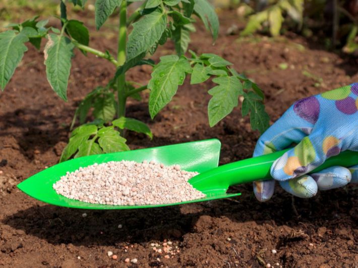 أسعار الأسمدة اليوم، فيتو