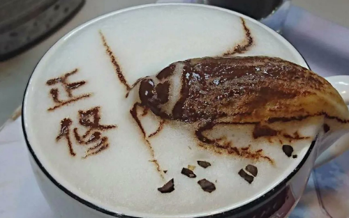 قهوة الصرصار والنمل تغزو الصين، فيتو