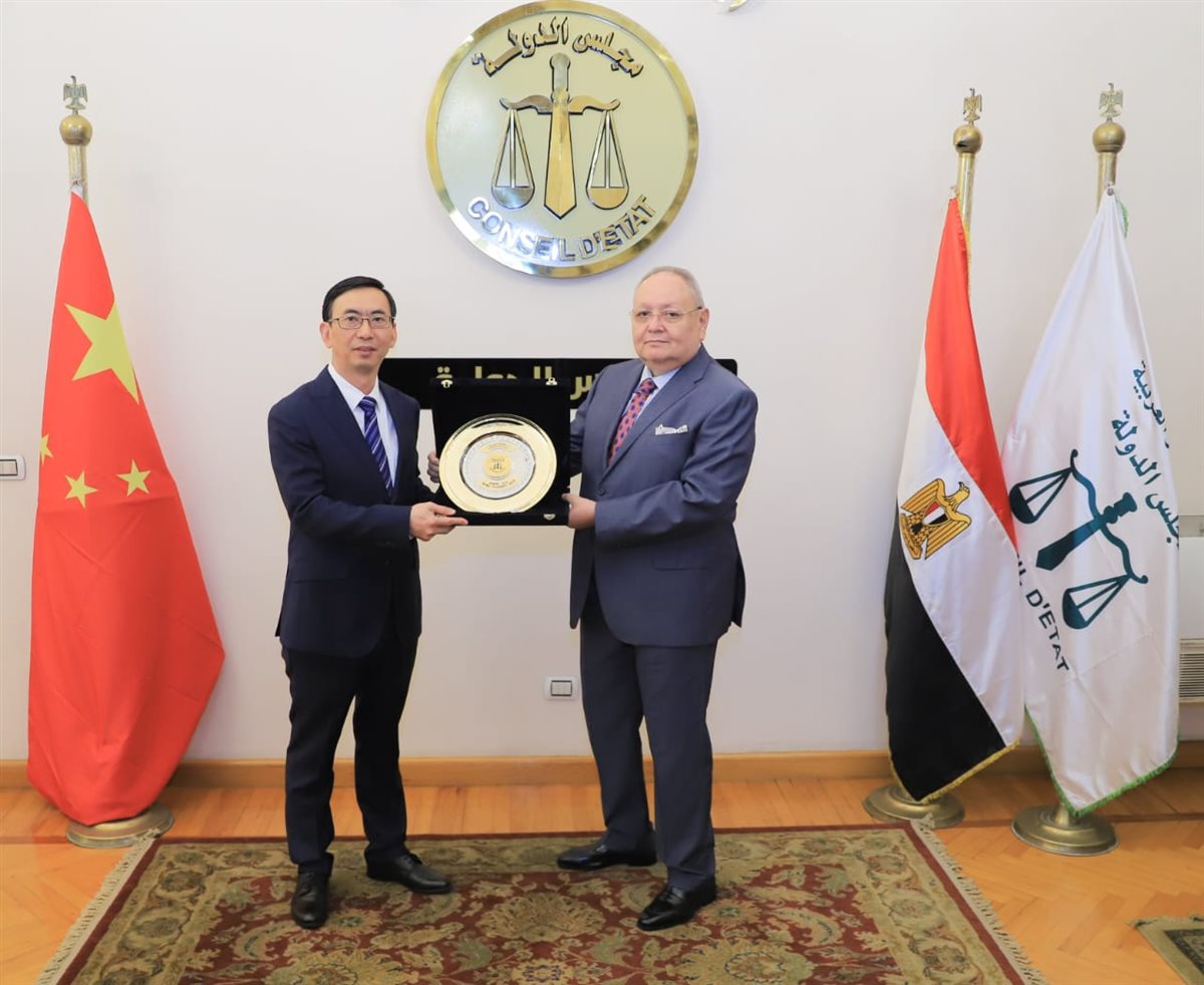 مجلس الدولة 