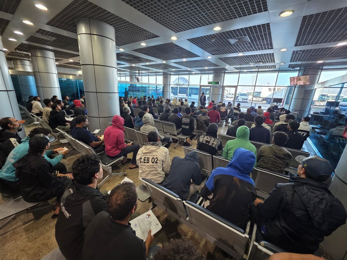 مصريون عائدون من ليبيا، فيتو&nbsp;