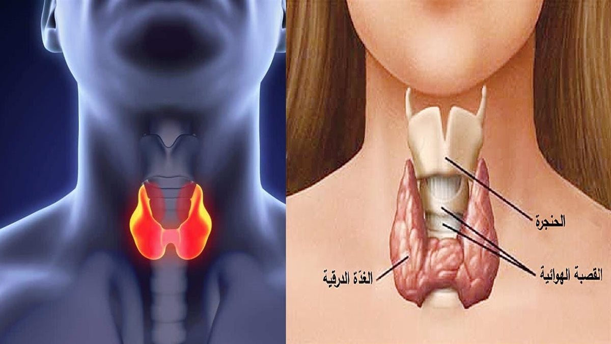 قصور الغدة الدرقية