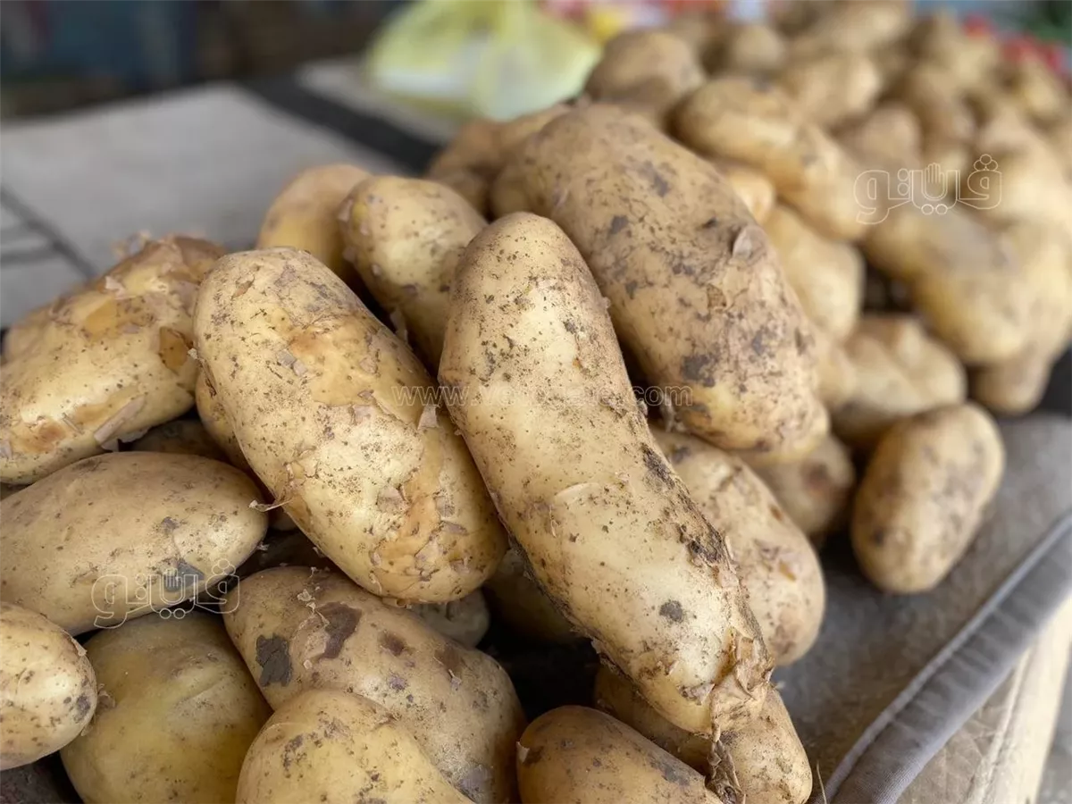 سعر الخضار اليوم، فيتو