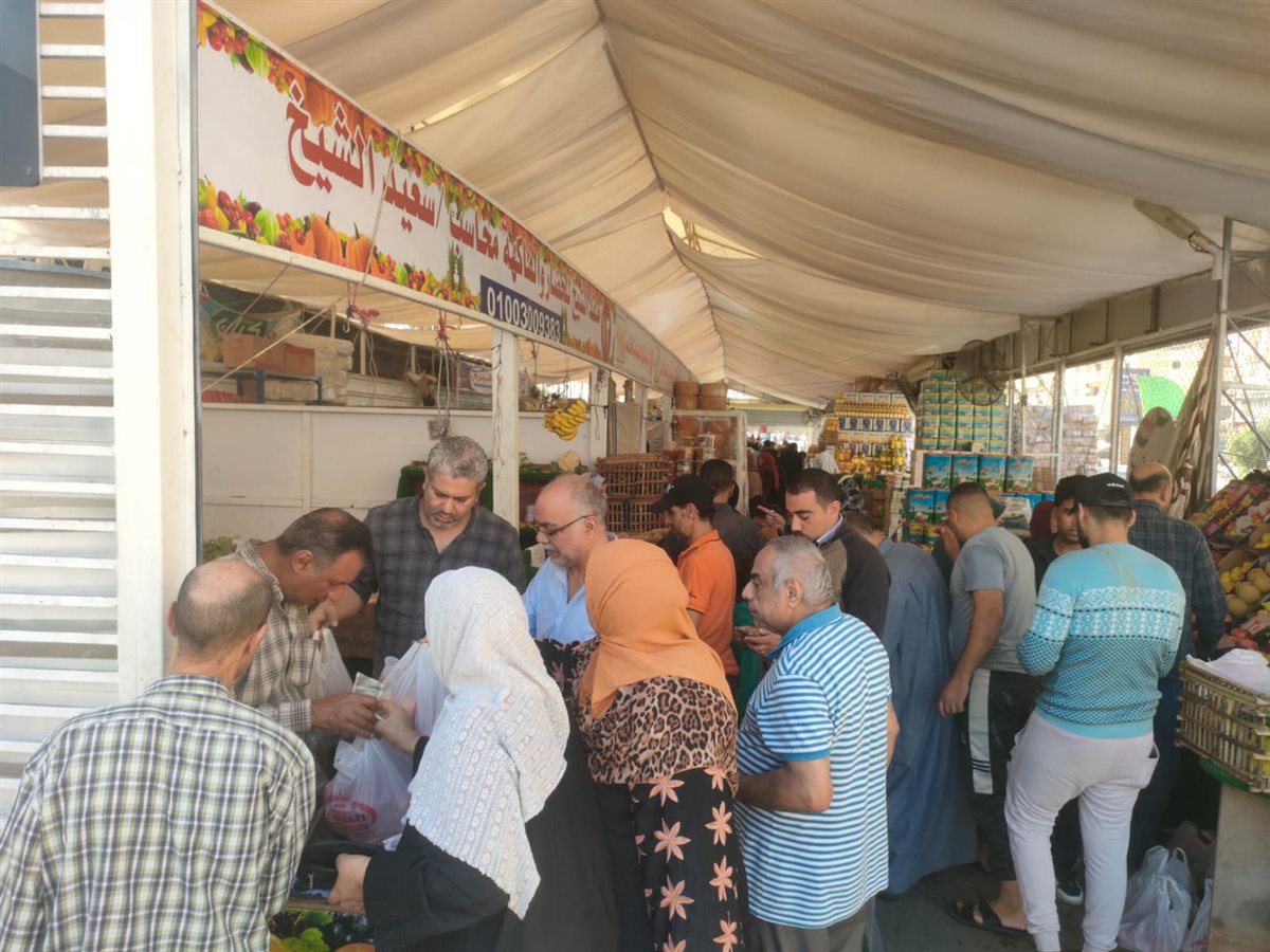 المعرض الدائم بالدقهلية&nbsp;